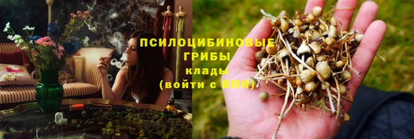 PSILOCYBIN Богородицк